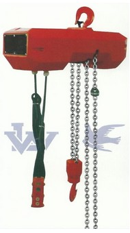 飛鴿電動(dòng)環(huán)鏈葫蘆參考圖